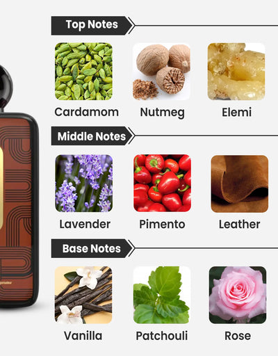 Afnan 9PM Elixir Parfum Intense 100ML Notes