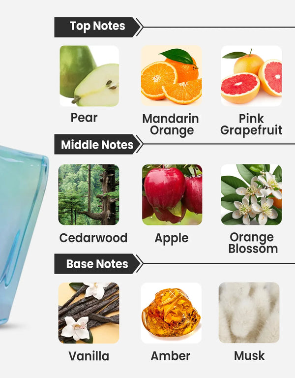 Afnan Turathi Electric Notes