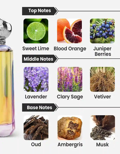 Ahmed Al Maghribi Ma'ani EDP 10ML Decant