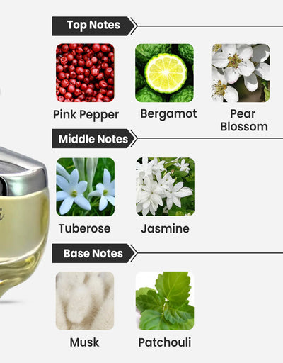 Ahmed Al Maghribi Musk Kashmiri EDP 60ML Notes