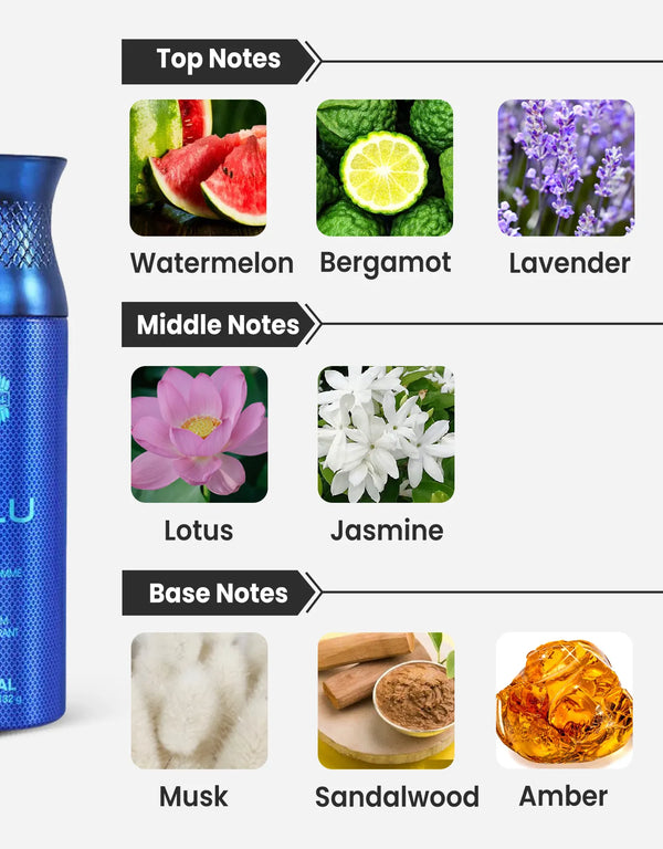 Ajmal Blu Pour Homme Deodorant Notes