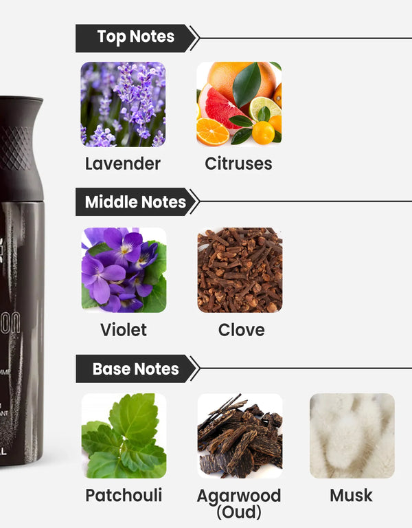 Ajmal Carbon Pour Homme Deodorant Notes