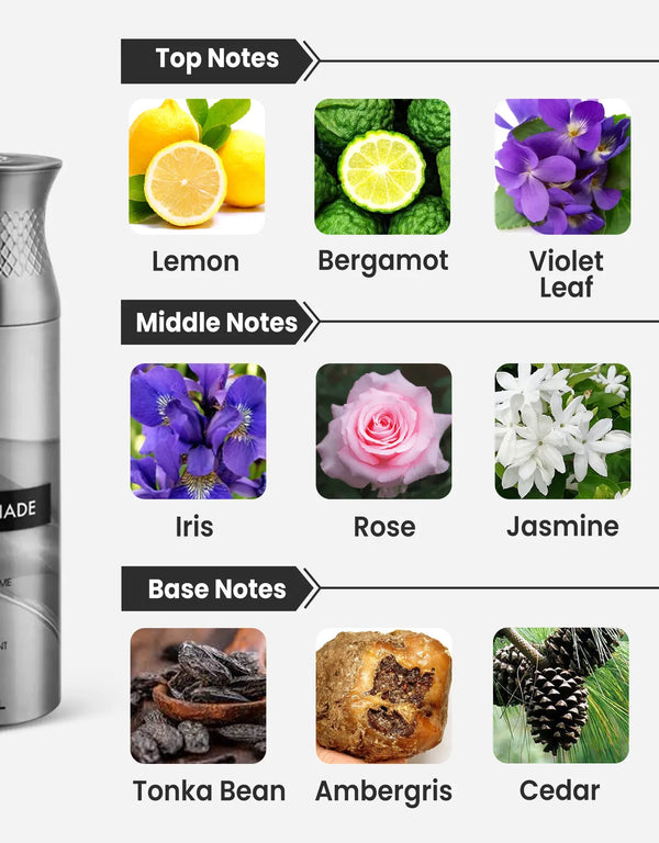 Ajmal Silver Shade Pour Homme Deodorant Notes