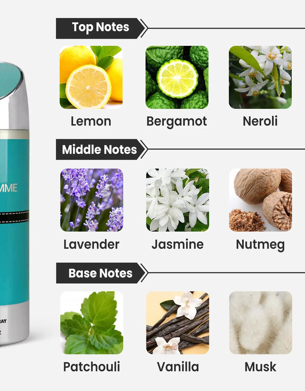 Armaf Blue Homme Deodorant Notes