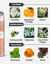 Armaf Le Parfait Pour Femme Deodorant Notes