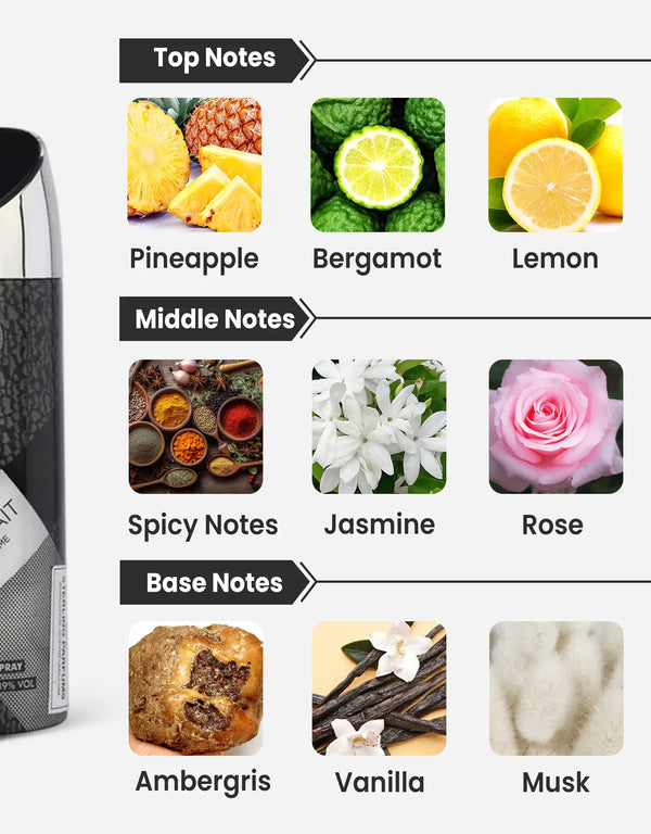 Armaf Le Parfait Pour Homme Deodorant Notes