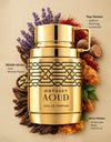 Armaf Odyssey Aoud EDP 100ML