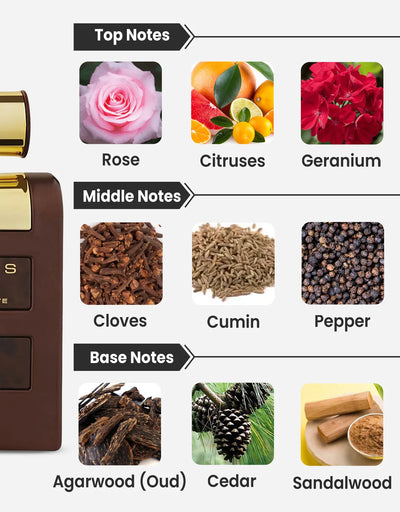 Armaf Shades Wood EDT 10ML Decant