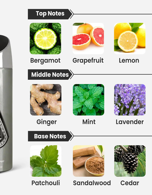 Armaf Tag-Him For Men Deodorant Notes