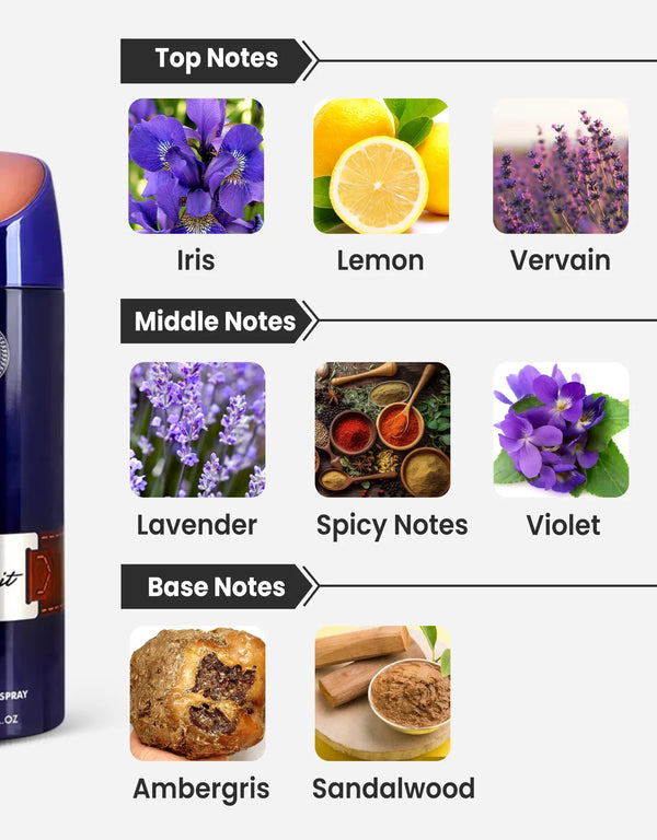 Armaf Tres Nuit For Men Deodorant Notes