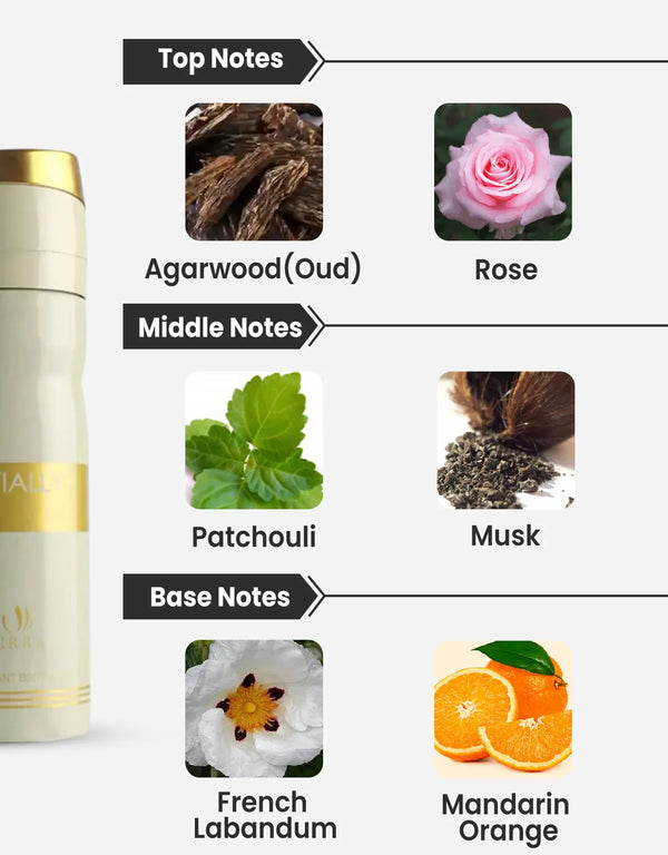 Birra Essentially Oud Notes Deo