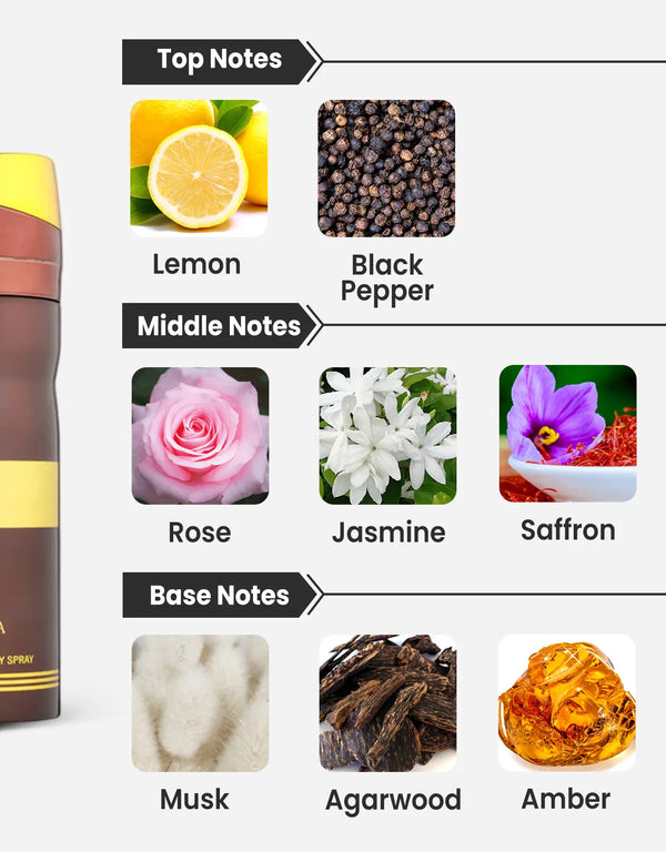 Birra Oud Arabica Deodorant 200ML Notes