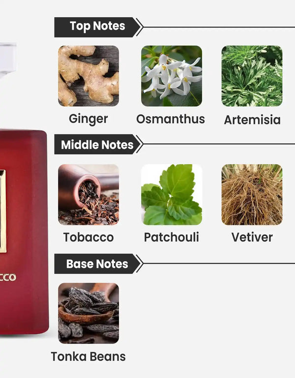 mysterious tobacco Paris Corner Pendora Scents Charuto Mysterious Tobacco EDP 10ML Decant – All Arabic mysterious tobacco Paris Corner Pendora Scents Charuto Mysterious Tobacco EDP 10ML Decant – All Arabic