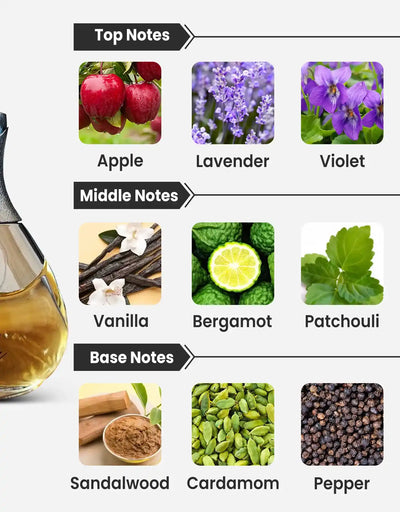 Al Haramain Detour Noir EDP 100ML