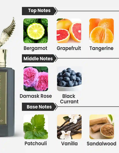 Paris Corner Emir Fascination Extrait De Parfum 10ML Decant