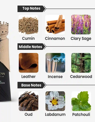 French Avenue Sultan The Conqueror EDP 80ML