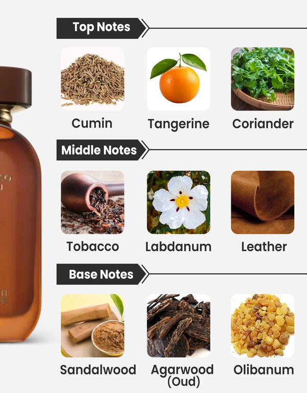 French Avenue Tobacco D'Feu Notes