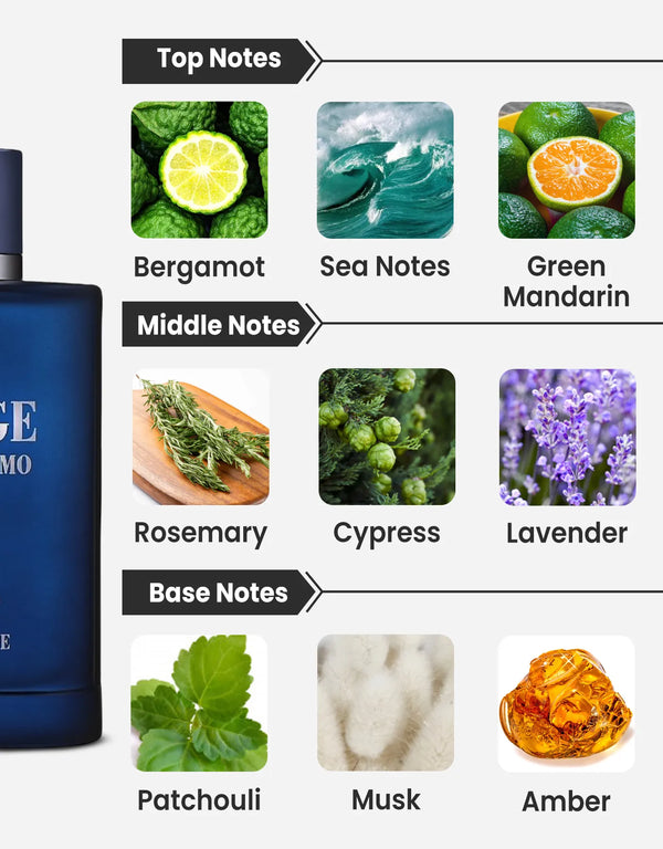 Maison Alhambra Jorge Di Profumo Deep Blue EDP 100ML