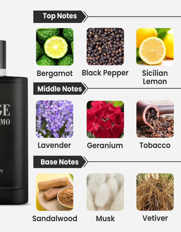 Maison Alhambra Jorge Di Profumo EDP 100ML