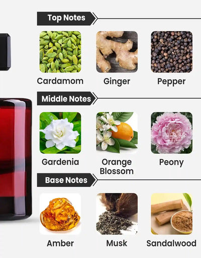 Maison Alhambra Jubilant Noir EDP 10ML Decant