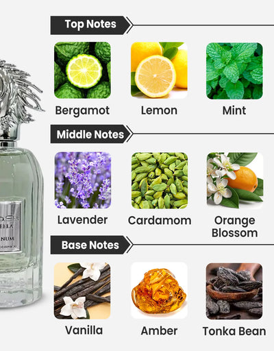 Paris Corner Kaheela Platinum EDP 85ML