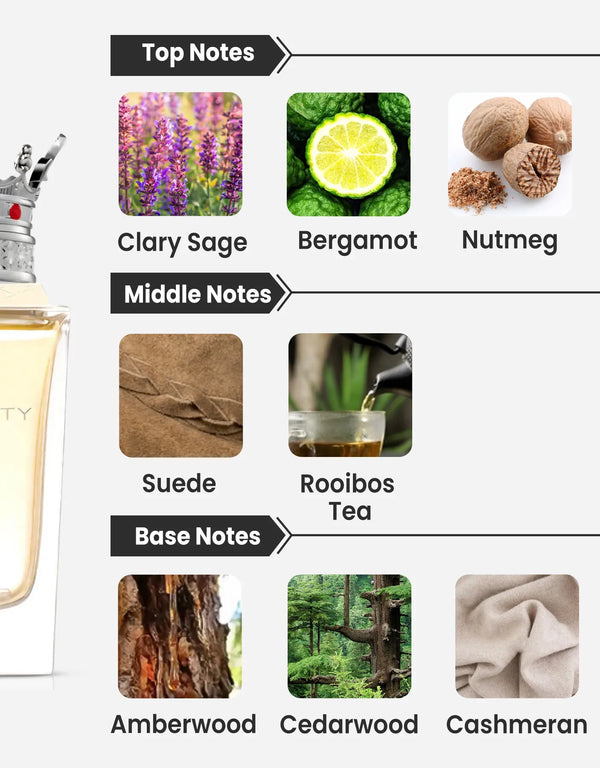 Lattafa Dynasty EDP 100ML Notes