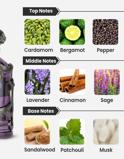 Lattafa Habik EDP 100ML Notes