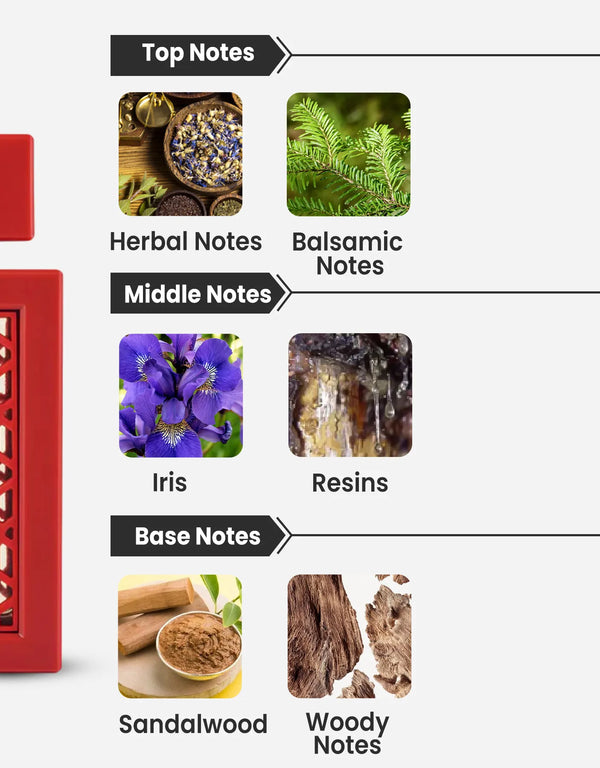 Lattafa Rave Now Rouge Notes