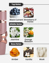 Lattafa Yara Elixir Notes