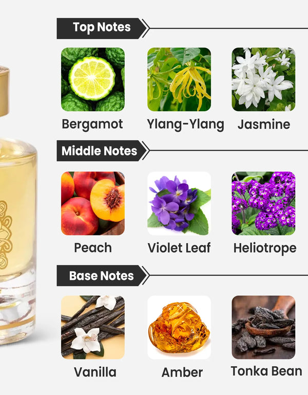 Maison Alhambra Anarch Notes