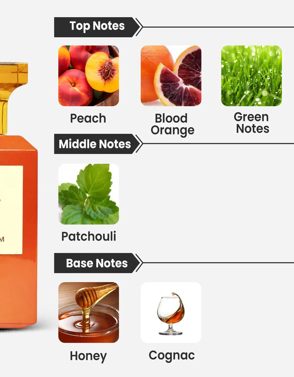 Maison Alhambra Bright Peach Notes