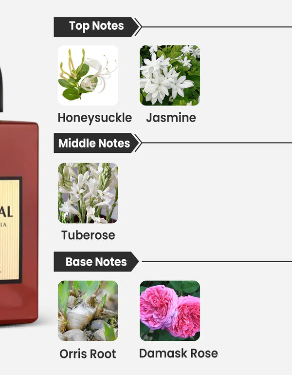 Maison Alhambra Floral Ambrosia Notes