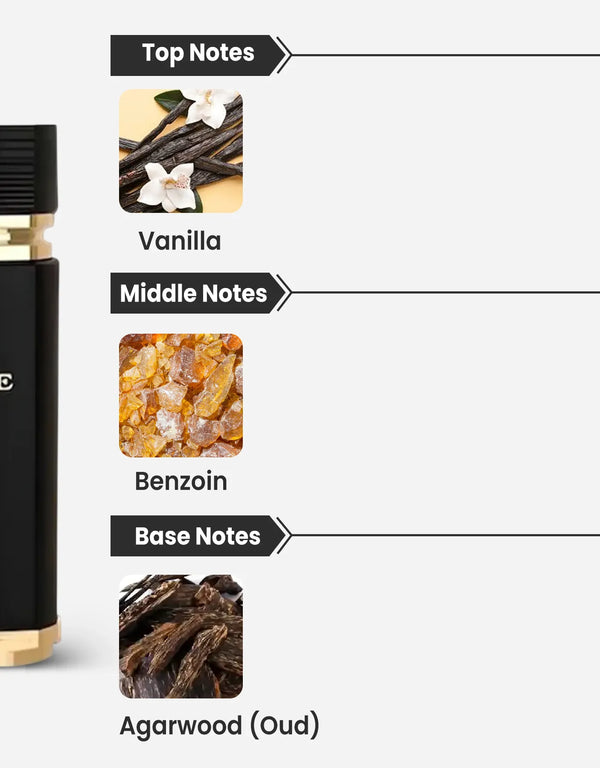 Maison Alhambra Sceptre Oceana Notes