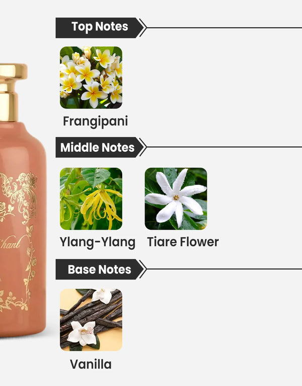 Maison Alhambra The Chant Notes