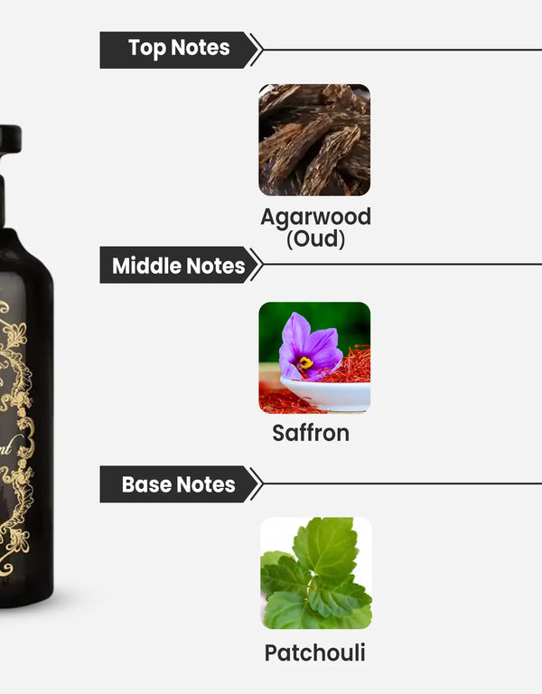 Maison Alhambra The Serpent Notes