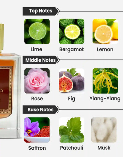 Paris Corner Ministry of Oud Amber Oud Extrait De Parfum 100ML