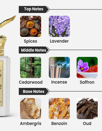 My Perfumes Otoori Oud Al Saqr Peregrine EDP 10ML Decant