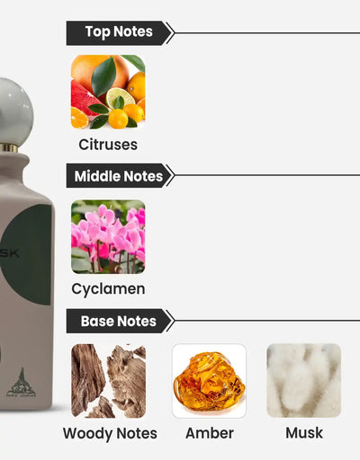 Paris Corner Eternal Musk EDP 10ML Decant