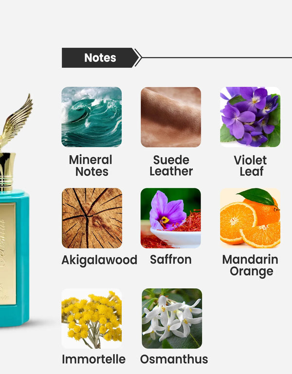 Paris Corner Emir Celestial Notes