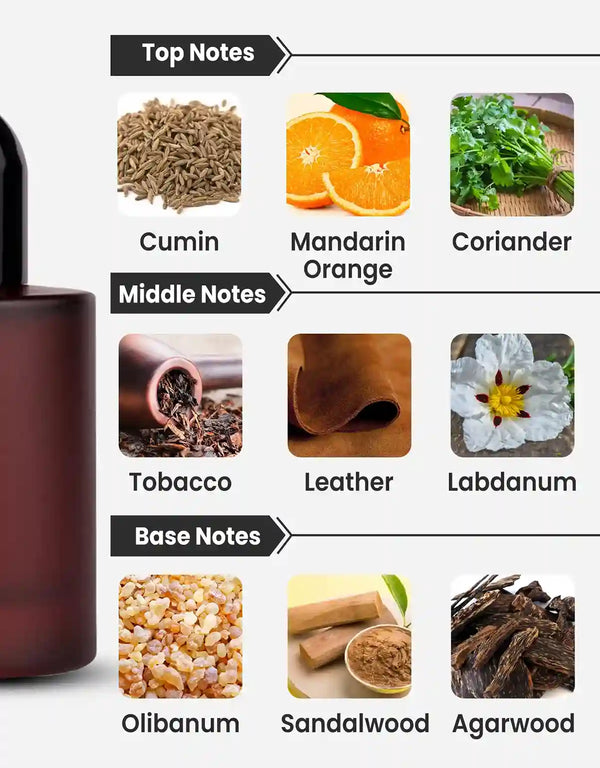spicy tobacco Paris Corner Emir Vibrant Spicy Tobacco EDP 100ML – All Arabic spicy tobacco Paris Corner Emir Vibrant Spicy Tobacco EDP 100ML – All Arabic