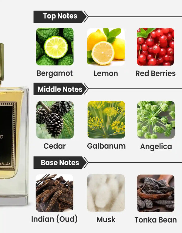 Paris Corner Ministry of Oud Oud Royal Extrait De Parfum 100ML Notes