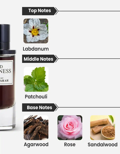 Paris Corner Oud Highness EDP 10ML Decant