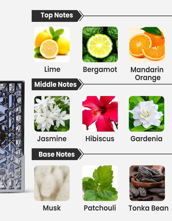 Rayhaan Aquatica Notes