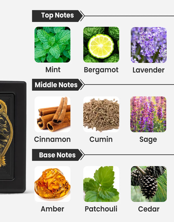 Rayhaan Lion Notes